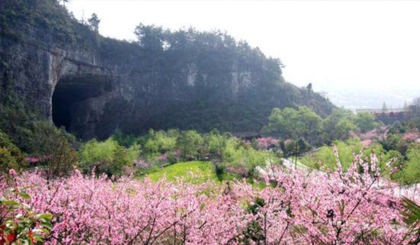 酉阳县有多少人口_酉阳县地图(2)